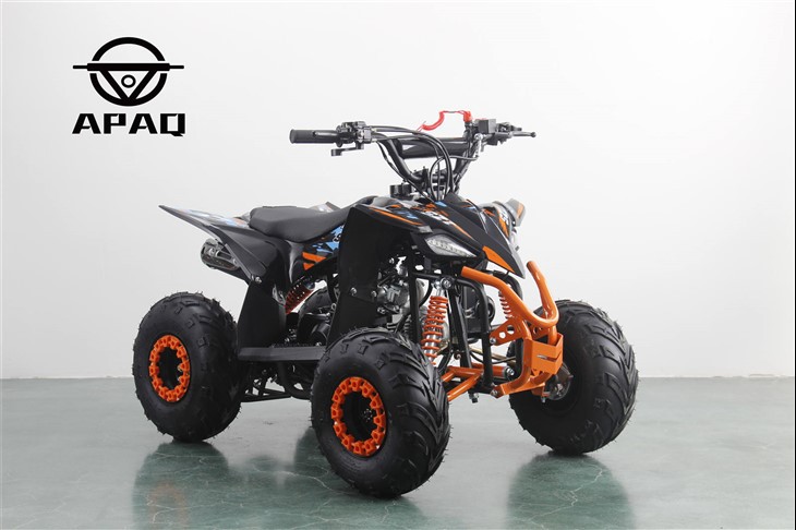 110cc Çocuk ATV'si